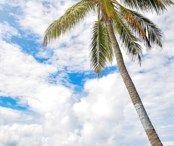 Pension Scuba Residence