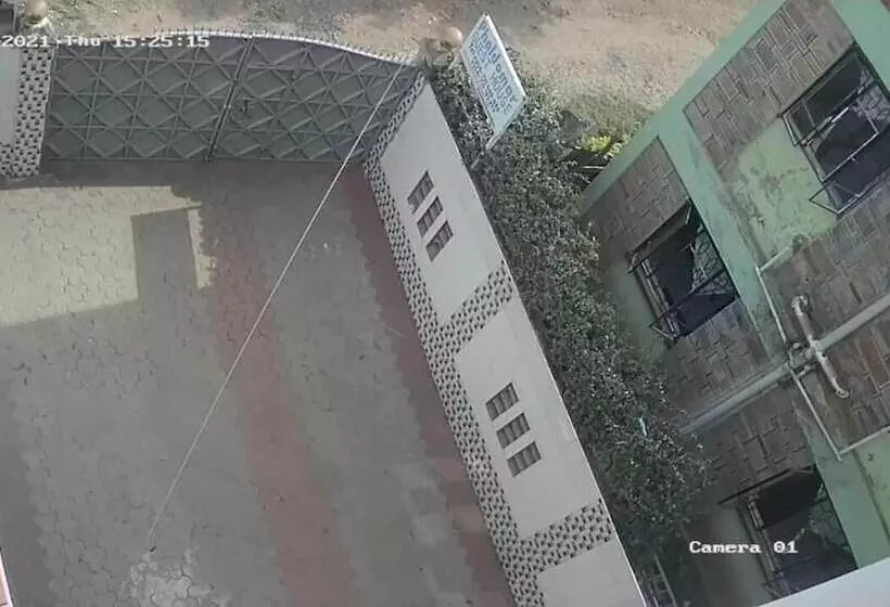 پانسیون Phaldomar Guest House