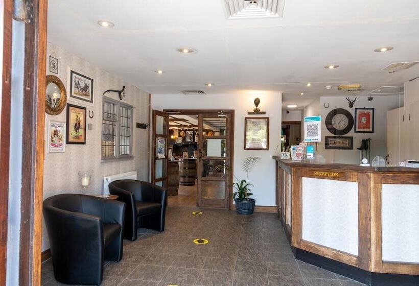 هتل Buffalo Bills