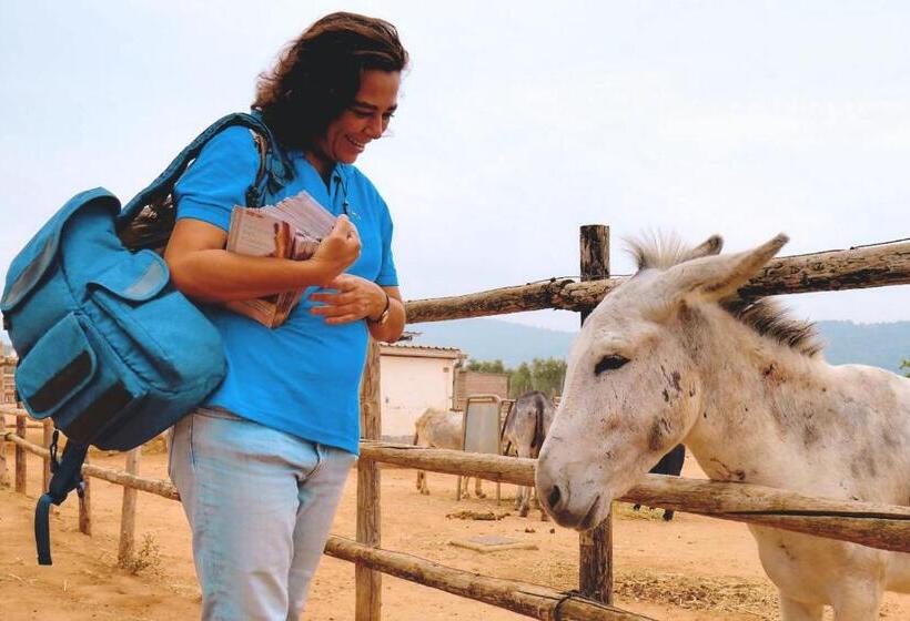 Casa Gracia Málaga Corazón De Andalucía