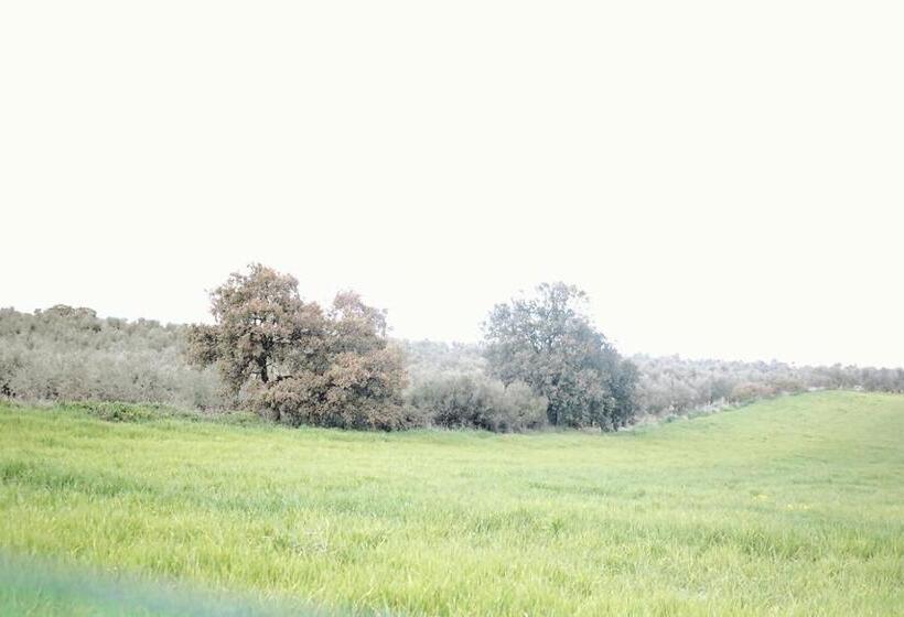 Casa Gracia Málaga Corazón De Andalucía