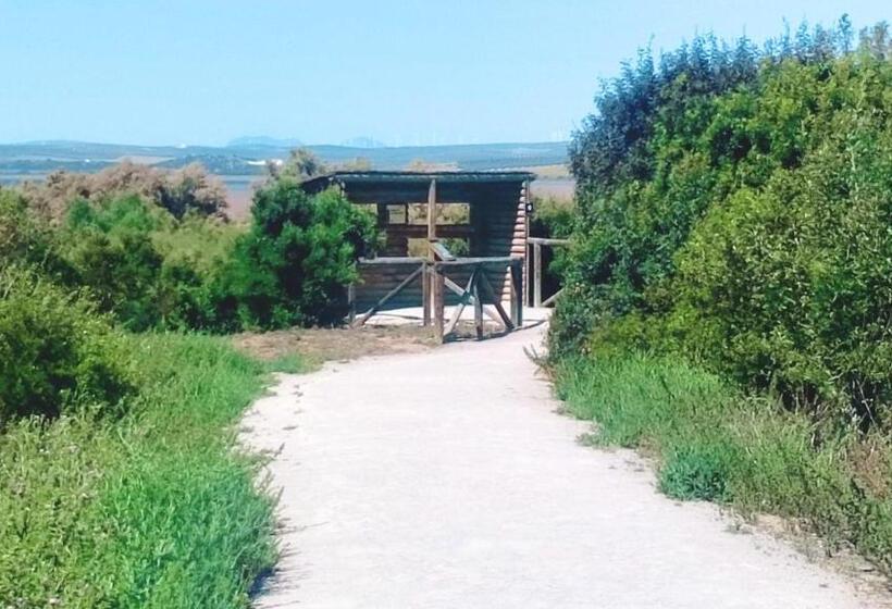 Casa Gracia Málaga Corazón De Andalucía