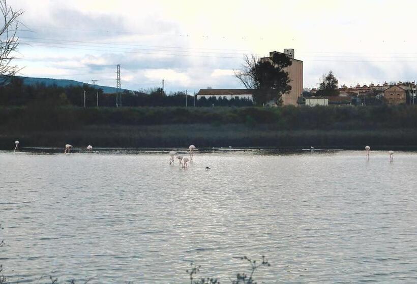 Casa Gracia Málaga Corazón De Andalucía