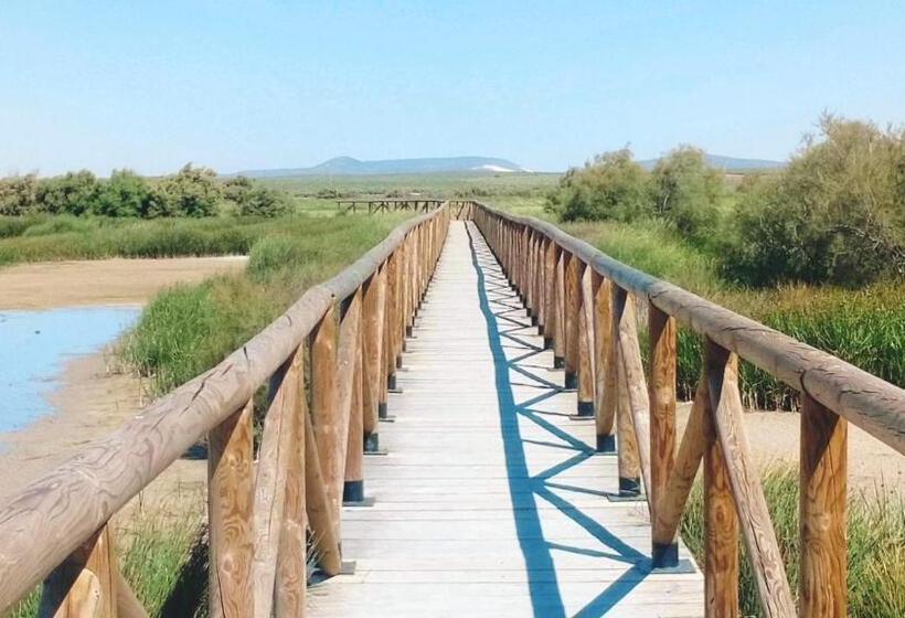 Casa Gracia Málaga Corazón De Andalucía