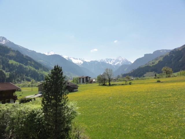 Apart Alpensonne Zillertal