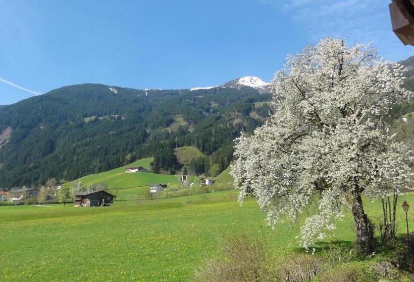 Apart Alpensonne Zillertal