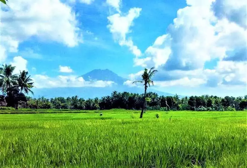 ベッドアンドブレックファースト Harris Ijen Crater Homestay