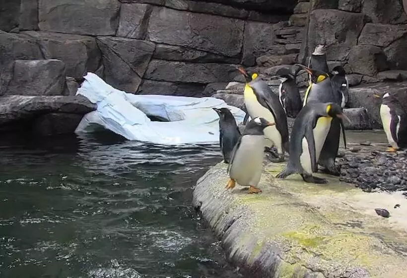 ホテル Hawthorn Extended Stay By Wyndham Cincinnati Ne/mason