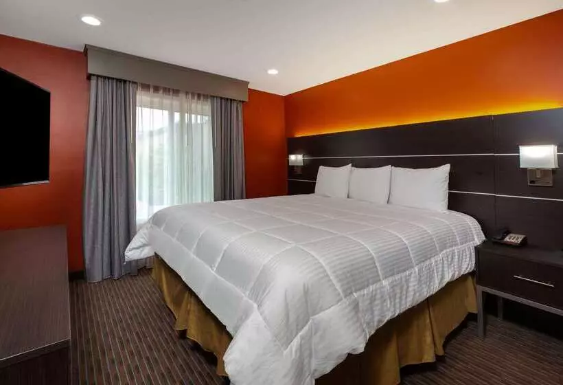 Отель Vinea Healdsburg