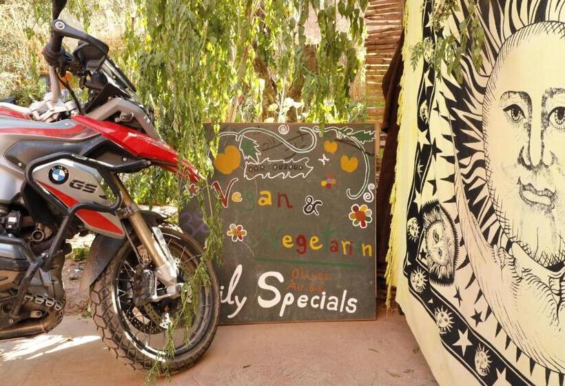 رياض Dar Ouzoud Vegan