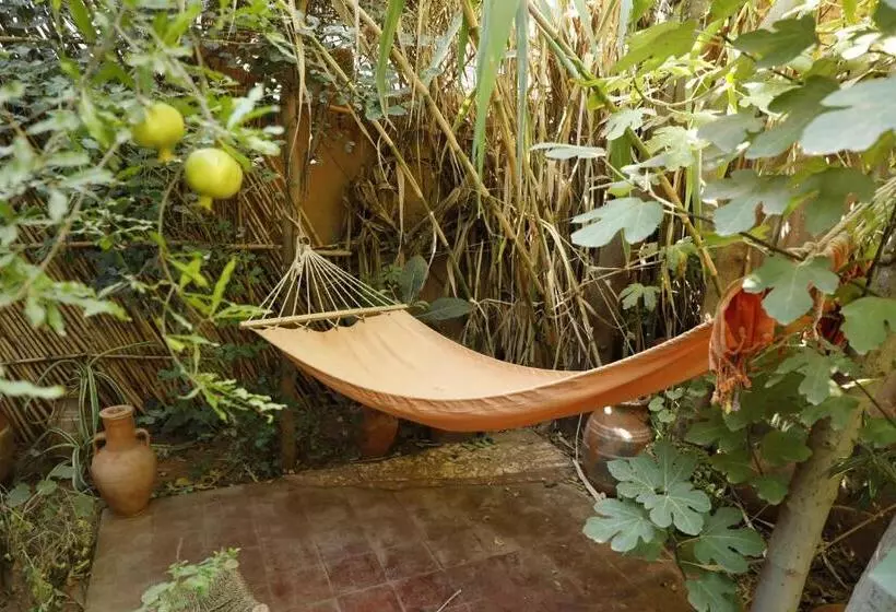 Riad Dar Ouzoud Vegan