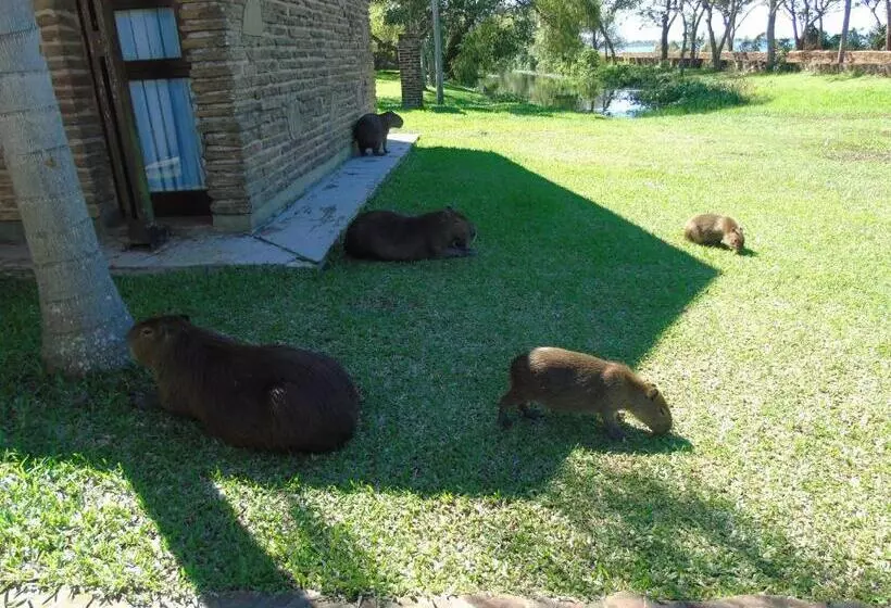 Retkeilymaja Iberá Porá