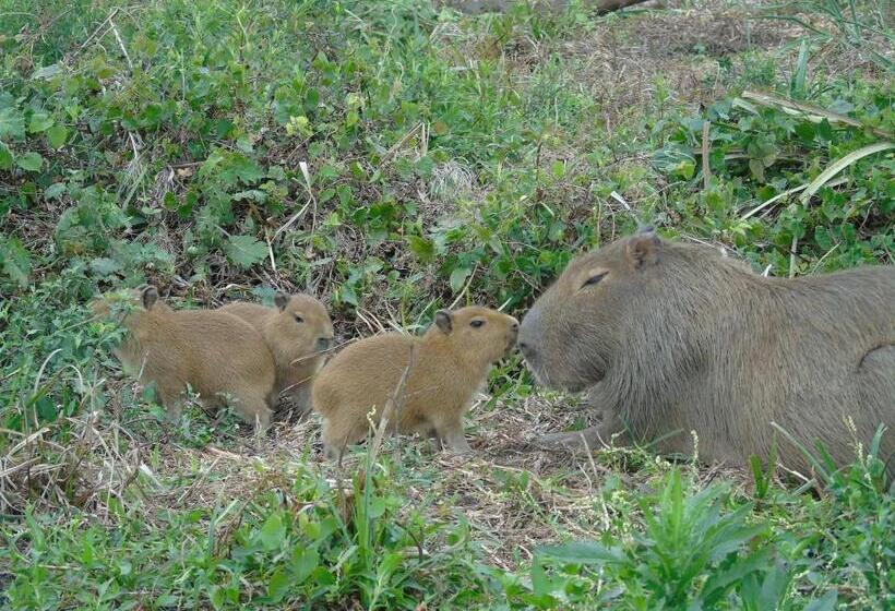 הוסטל Iberá Porá