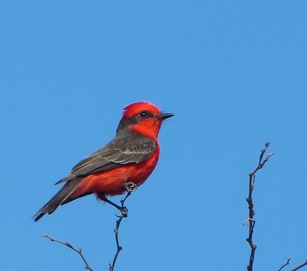 הוסטל Iberá Porá