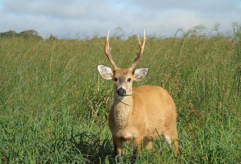 הוסטל Iberá Porá