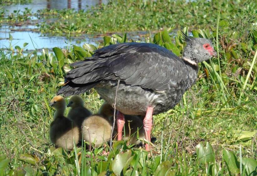 הוסטל Iberá Porá