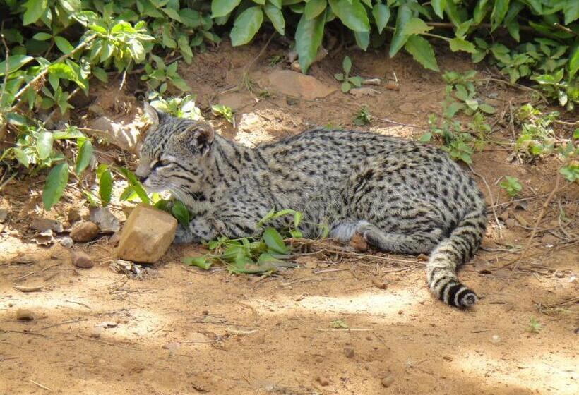 הוסטל Iberá Porá