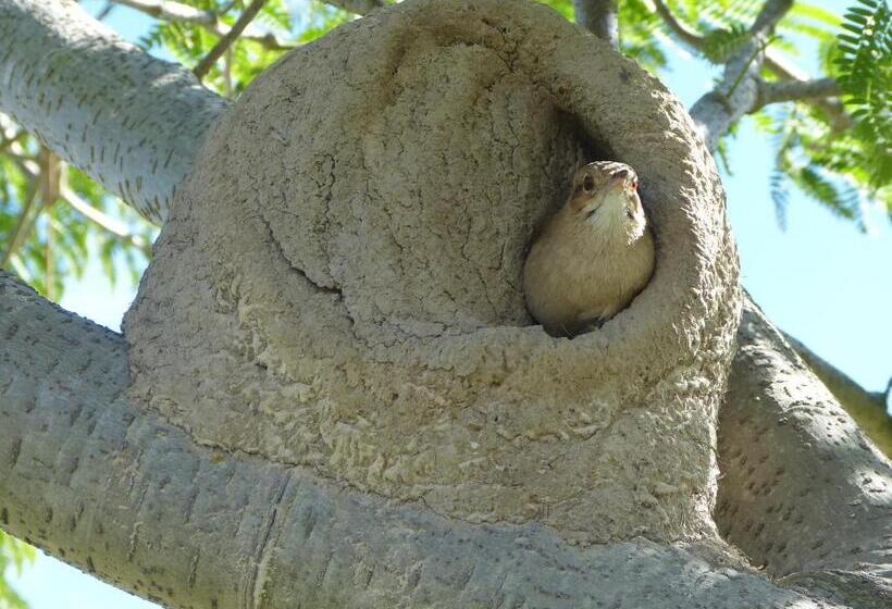 הוסטל Iberá Porá