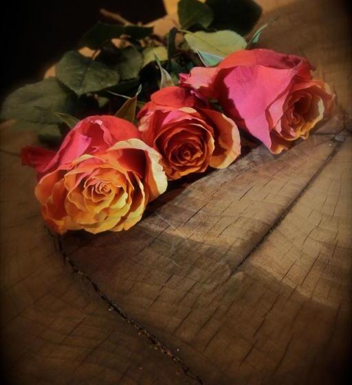 Damüls Appartements