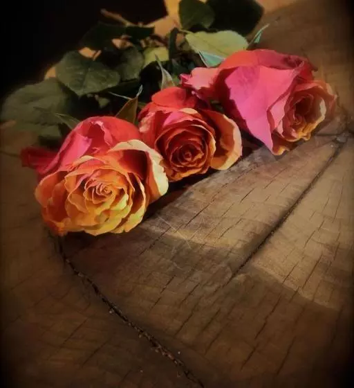 Damüls Appartements