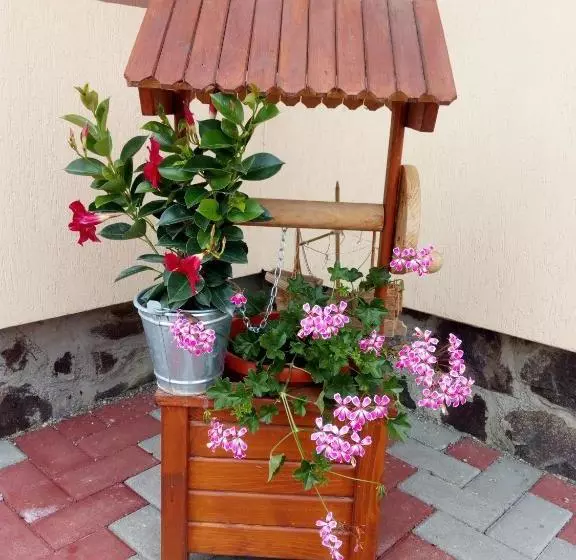 Pensione Casa Infinity
