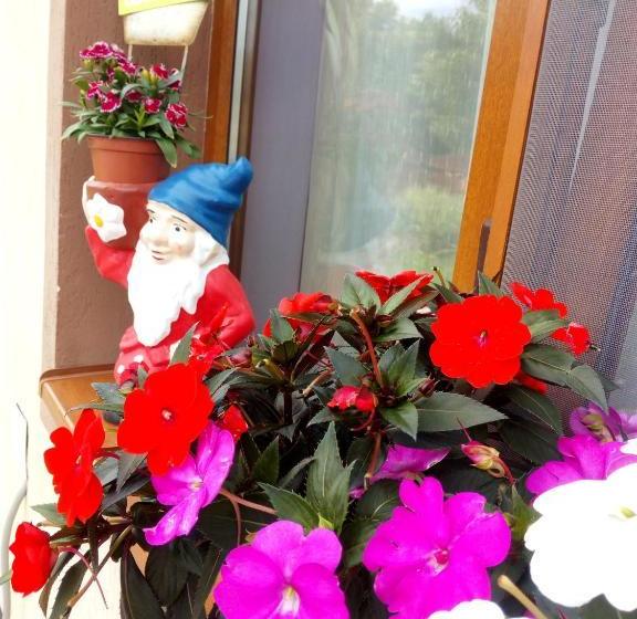 膳宿费 Casa Infinity