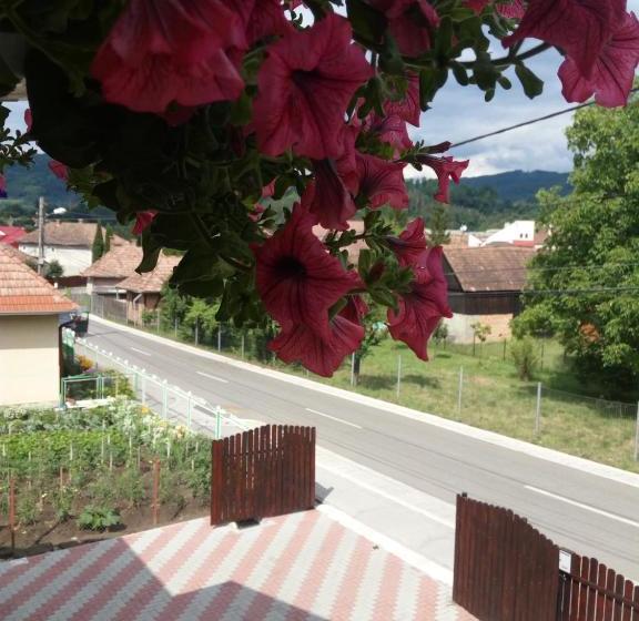 膳宿费 Casa Infinity