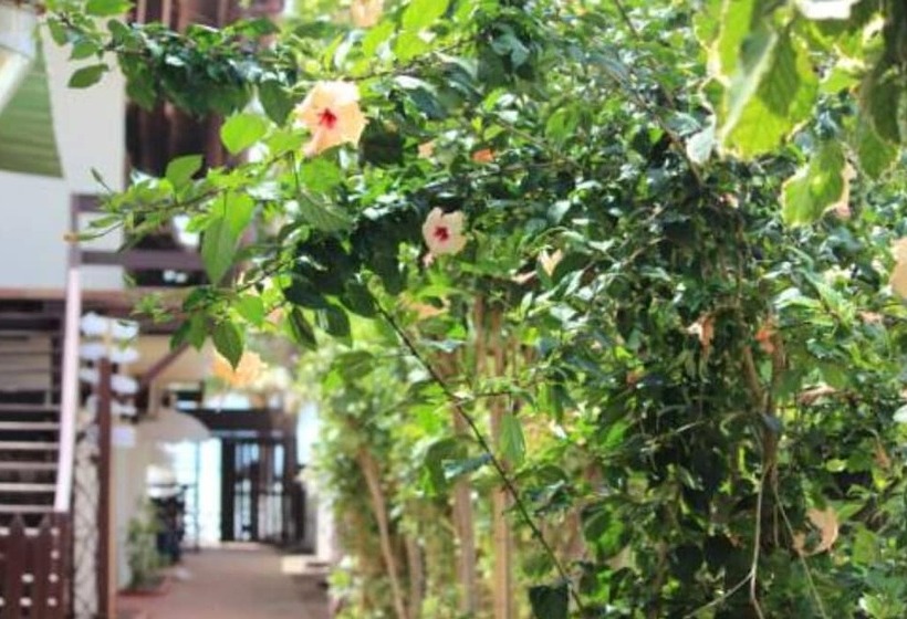 Pensão Pousada Parador 081