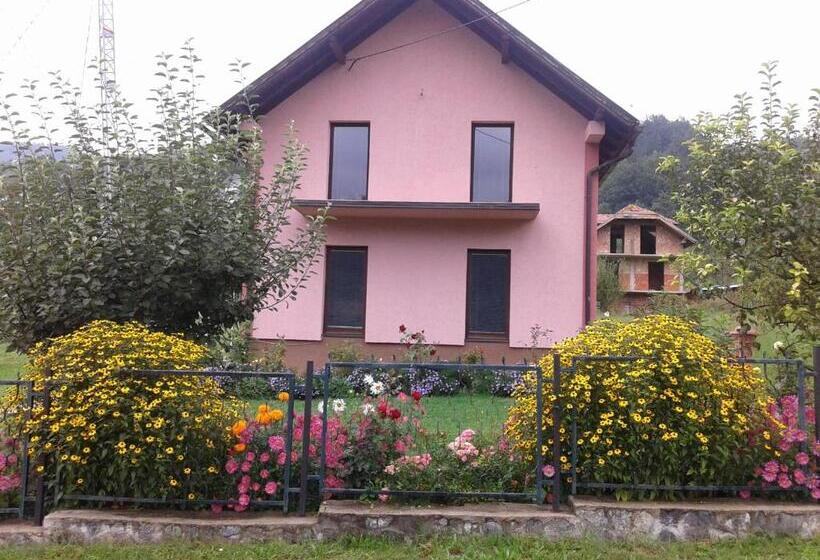 پانسیون Rooms Violeta