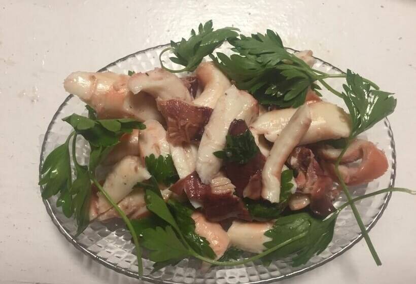 Bed and Breakfast Surf Inn Gokceada