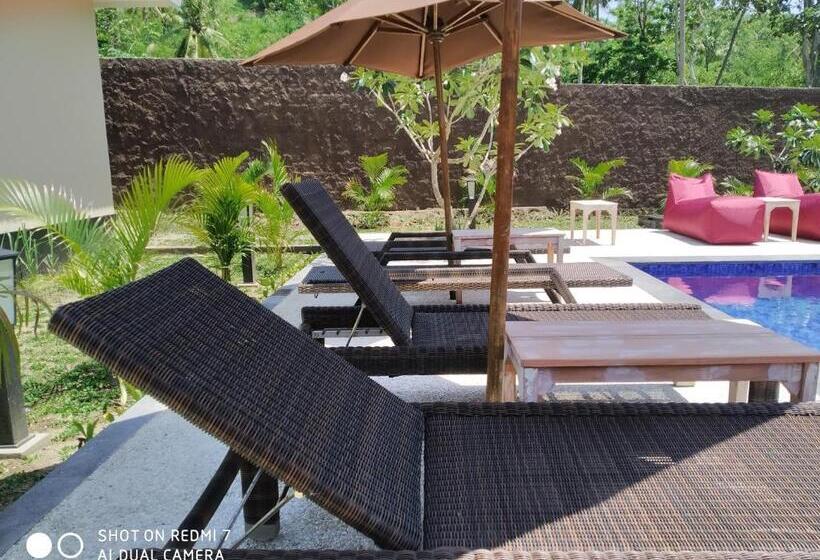 Bed and Breakfast Villa Tom And Jerry