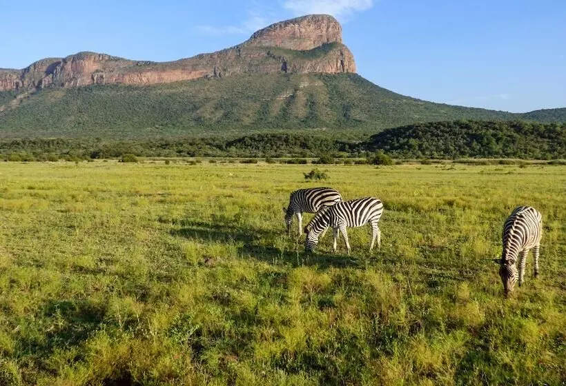 ホテル Legend Safari Villas