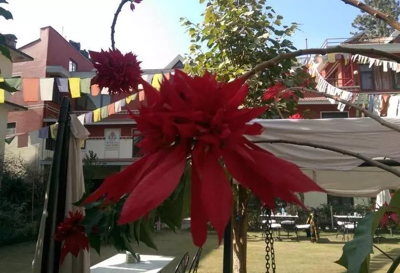 پانسیون Rokpa Guest House