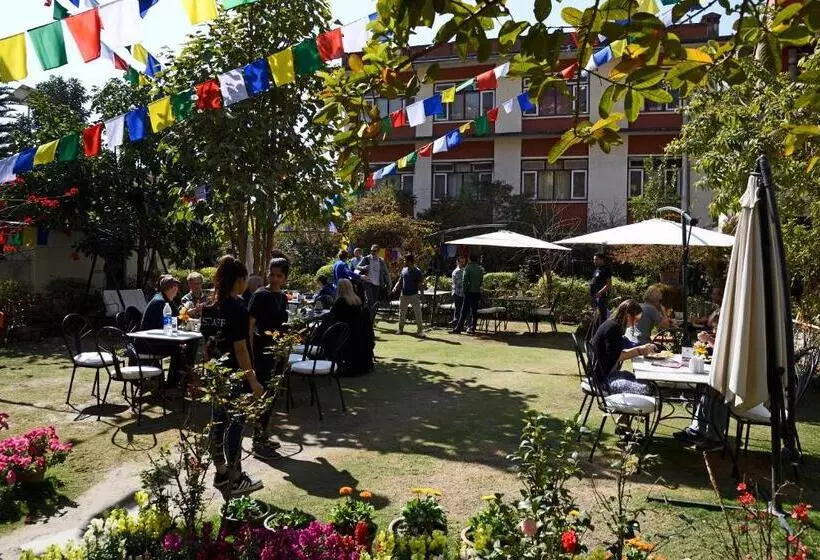 پانسیون Rokpa Guest House