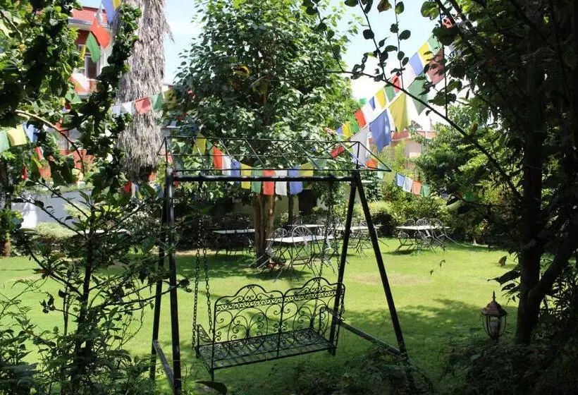 پانسیون Rokpa Guest House