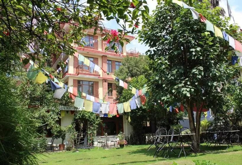 پانسیون Rokpa Guest House