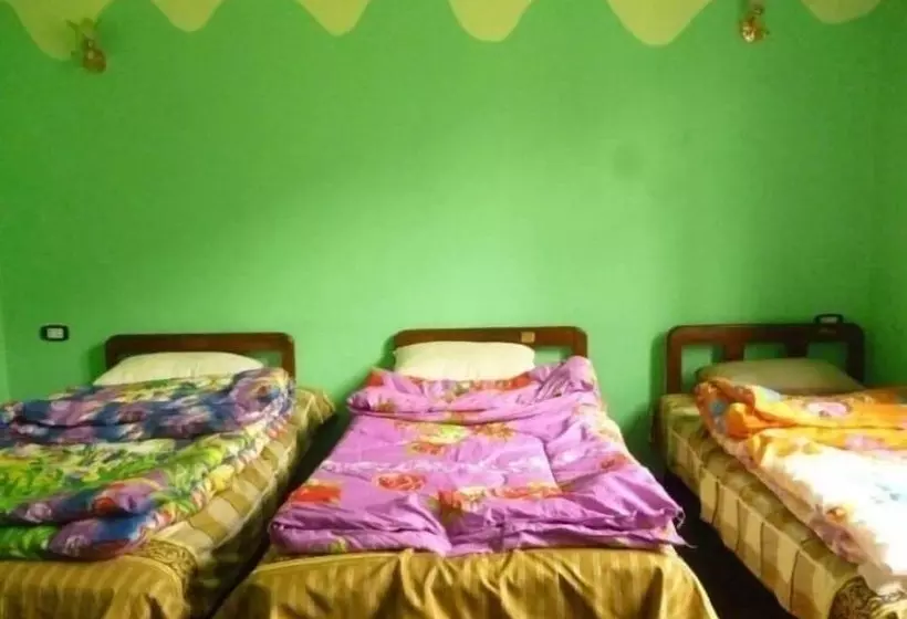 Safary Hotel   Hostel