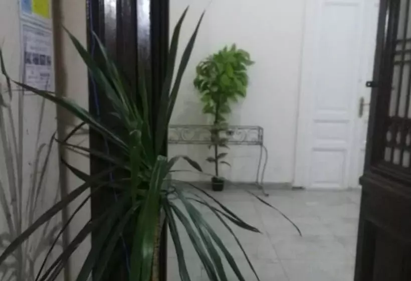 Safary Hotel   Hostel