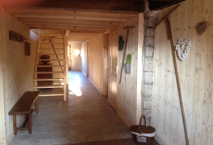 Les Authentics  Le Retour Aux Sources