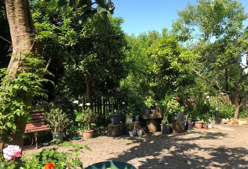پانسیون Villa La Familia