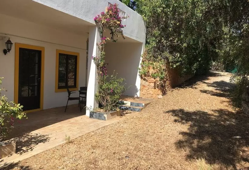 Quiet Cottage With Pool