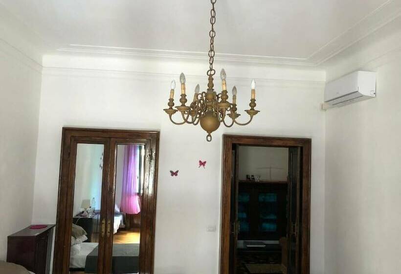 City Center Best Hostel