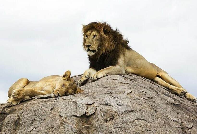 هتل Nyikani Camp Central Serengeti