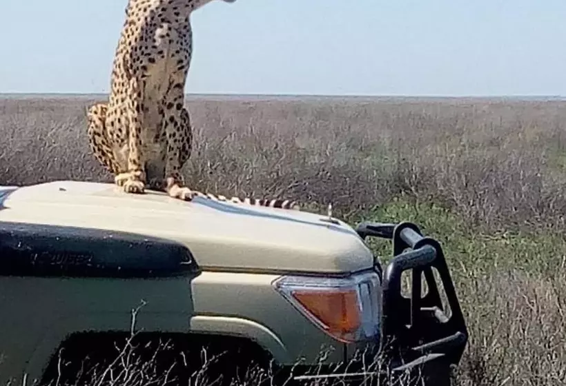هتل Nyikani Camp  Central Serengeti