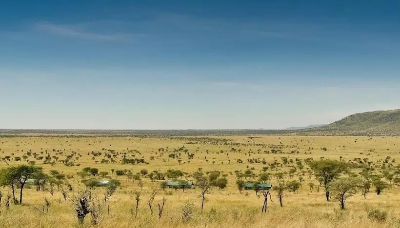 هتل Nyikani Camp  Central Serengeti