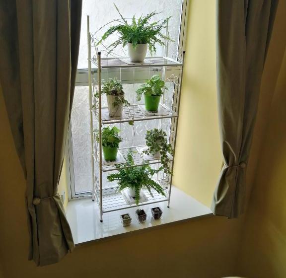 住宿加早餐  Lilybank House