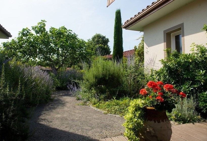 Au Fil Du Vizezy Gites