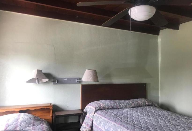 酒店 Capital O  América