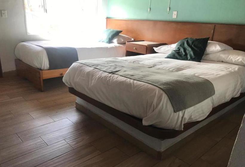 酒店 Capital O  América