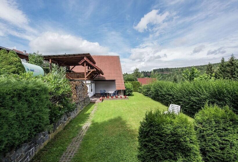 Holiday Home In Thuringia With Terrace